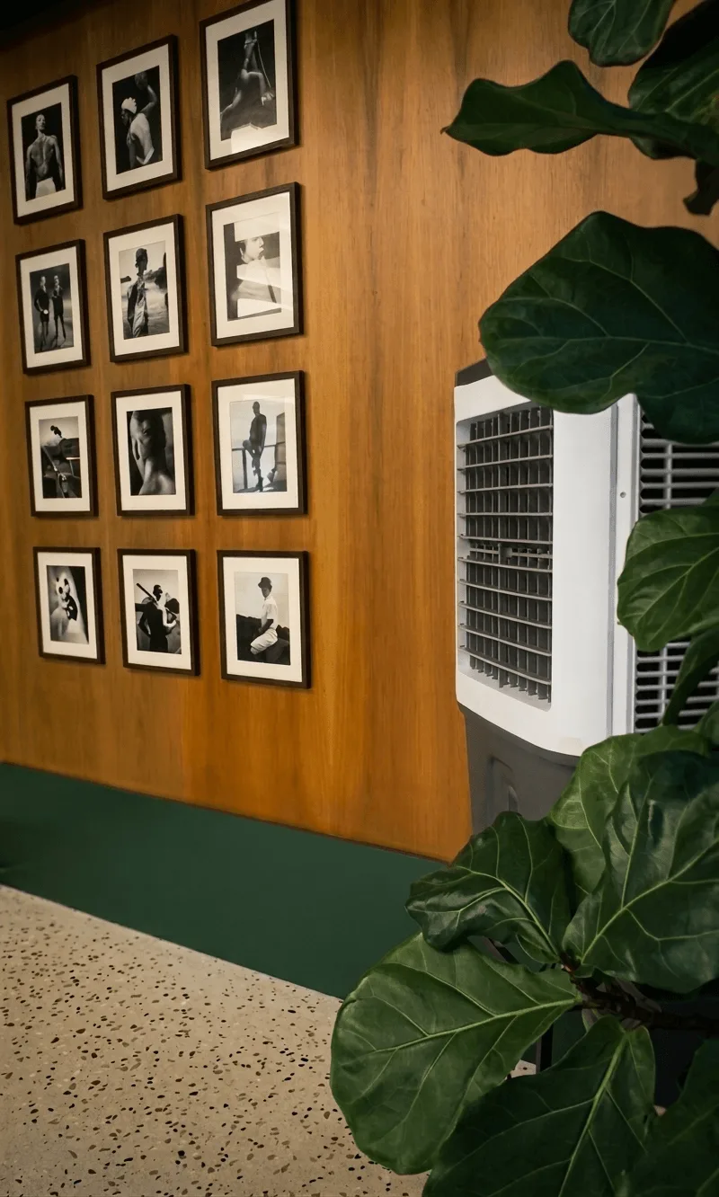 Design discreto no evento